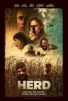 Herd