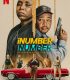 iNumber Number: Johannesburg Altınları