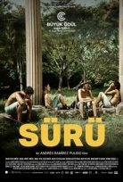 Sürü