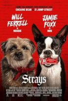 Kulağı Kesikler (Strays)