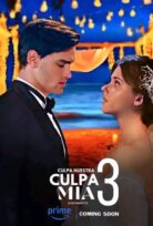 Culpa nuestra