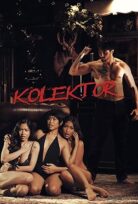 Kolektor Toplayıcı